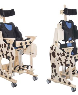 Устройство реабилитационное ДАЛМАТИН ИНВЕНТО 13 product dcp dalmatian invento 2 | МЕДИЛАЙН