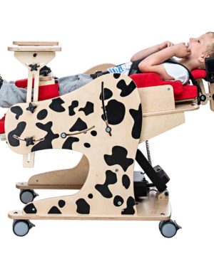 Устройство реабилитационное ДАЛМАТИН ИНВЕНТО 10 product dcp dalmatian invento 2 | МЕДИЛАЙН