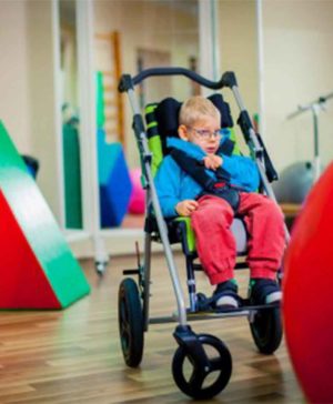 Коляска для осіб з особливими потребами УЛІСЕС ЕВО 9 Спеціальний візок (крісло-коляска інвалідна) ULISES EVO