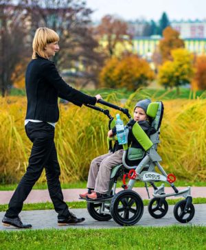 product dcp ursus 3 | МЕДИЛАЙН