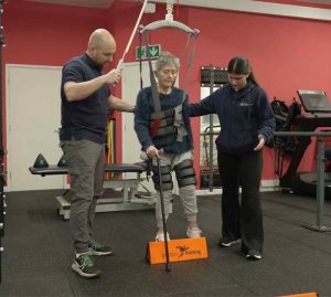 стельовий підйомник